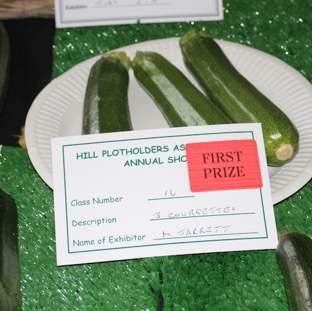 courgettes.JPG